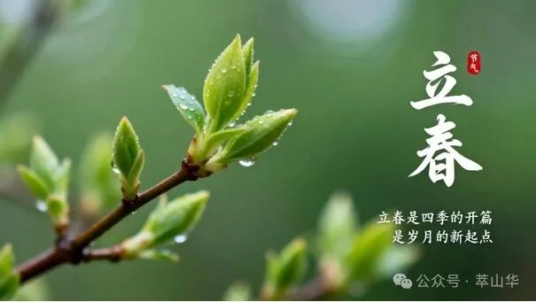 立春怎么吃?有学问